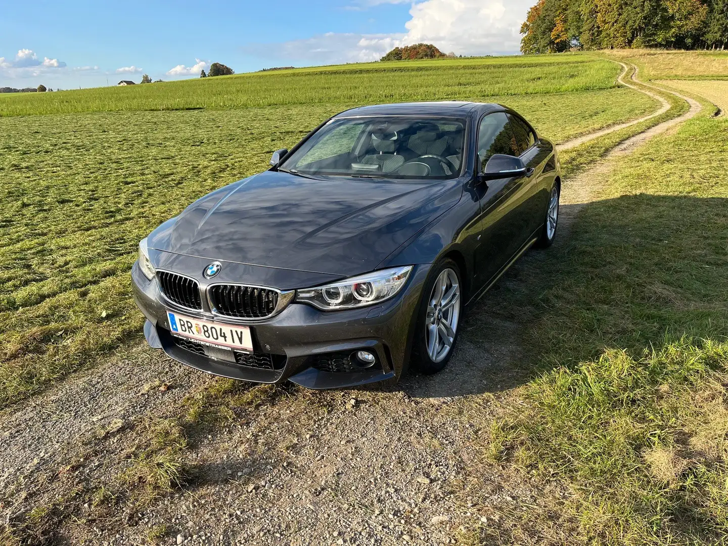 BMW 435 435d xDrive Coupe Aut. Grau - 1