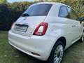 Fiat 500 1.2 Lounge I Apple Carplay I AAC I Parkeersensoren Wit - thumbnail 26