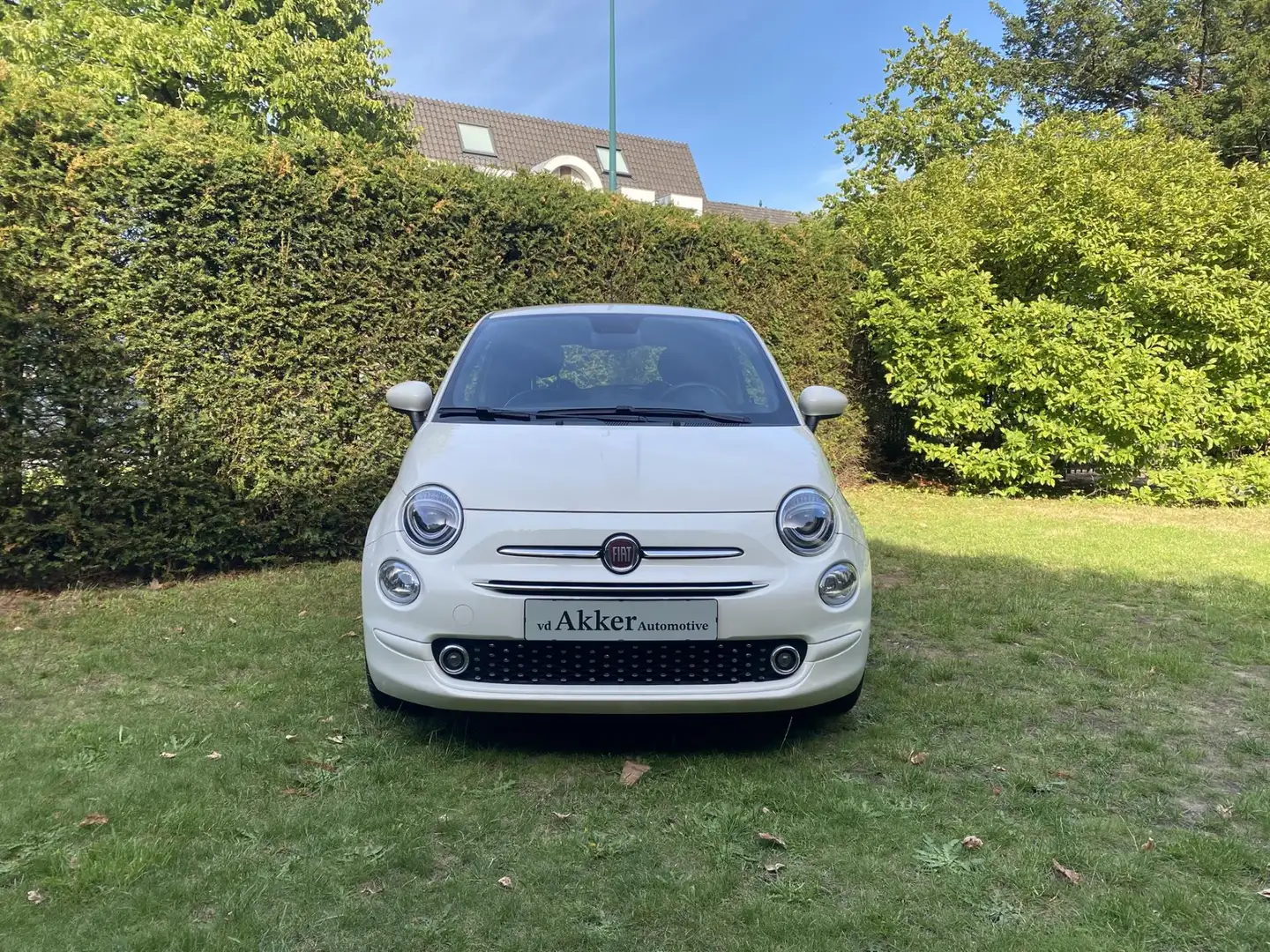 Fiat 500 1.2 Lounge I Apple Carplay I AAC I Parkeersensoren Wit - 2