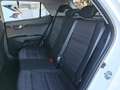 Kia Stonic Stonic 1.2 dpi Style 84cv Blau - thumbnail 21
