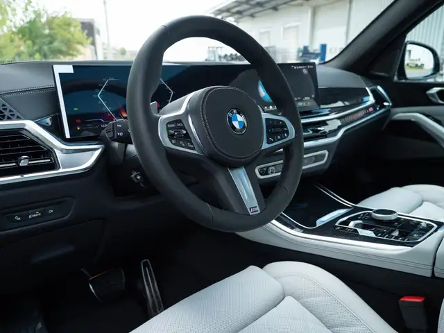 BMW X5 X5 view 12