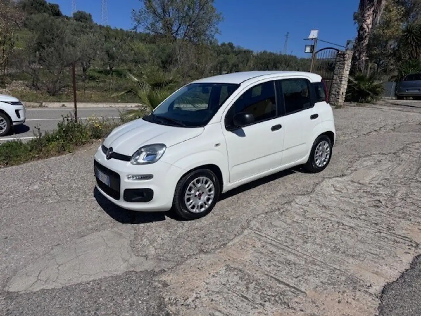Fiat Panda 1.3 MJT 95 CV S&S Easy Bianco - 1