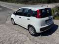 Fiat Panda 1.3 MJT 95 CV S&S Easy Bianco - thumbnail 7