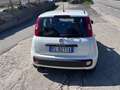 Fiat Panda 1.3 MJT 95 CV S&S Easy Bianco - thumbnail 6