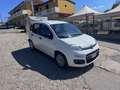 Fiat Panda 1.3 MJT 95 CV S&S Easy Bianco - thumbnail 3
