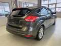 Ford Focus 1.0EcoBoost Aut. Titanium+Navi+Lenkradhzng Gris - thumbnail 6