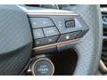 CUPRA Leon Sportstourer 2.0 TSI DSG 4Drive VZ Black AHK KAMER Grau - thumbnail 9