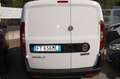 Fiat Doblo Doblò 1.6 MJT 105CV PC-TN Cargo Lamierato SX Blanco - thumbnail 5