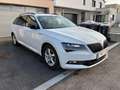 Skoda Superb Superb Kombi 2,0 TDI Sportline DSG Sportline Weiß - thumbnail 6
