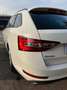 Skoda Superb Superb Kombi 2,0 TDI Sportline DSG Sportline Weiß - thumbnail 42