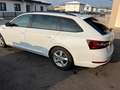 Skoda Superb Superb Kombi 2,0 TDI Sportline DSG Sportline Weiß - thumbnail 40