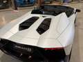 Lamborghini Aventador LP 720-4 Roadster 50° Anniversario Weiß - thumbnail 17
