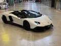 Lamborghini Aventador LP 720-4 Roadster 50° Anniversario Bianco - thumbnail 2
