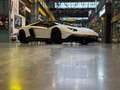 Lamborghini Aventador LP 720-4 Roadster 50° Anniversario Bianco - thumbnail 4