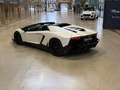Lamborghini Aventador LP 720-4 Roadster 50° Anniversario Bianco - thumbnail 3