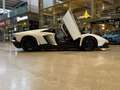 Lamborghini Aventador LP 720-4 Roadster 50° Anniversario Bianco - thumbnail 10