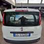 Fiat Panda 1.0 FireFly S&S Hybrid Blanc - thumbnail 3