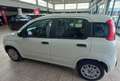 Fiat Panda 1.0 FireFly S&S Hybrid Blanc - thumbnail 4
