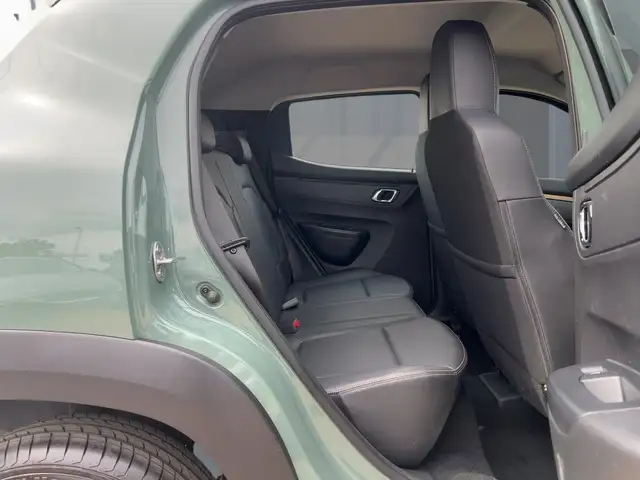 Dacia Spring view 9