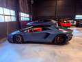 Lamborghini Aventador S Roadster SPECIAL COLOR/ONE OF ONE Grau - thumbnail 7