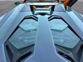 Lamborghini Aventador S Roadster SPECIAL COLOR/ONE OF ONE Grau - thumbnail 29