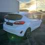 Ford Fiesta Fiesta 1.5 EcoBlue 5 porte Titanium Blanc - thumbnail 14