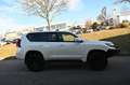 Toyota Land Cruiser 2.8l NESTLE OFFROAD komplett Weiß - thumbnail 5