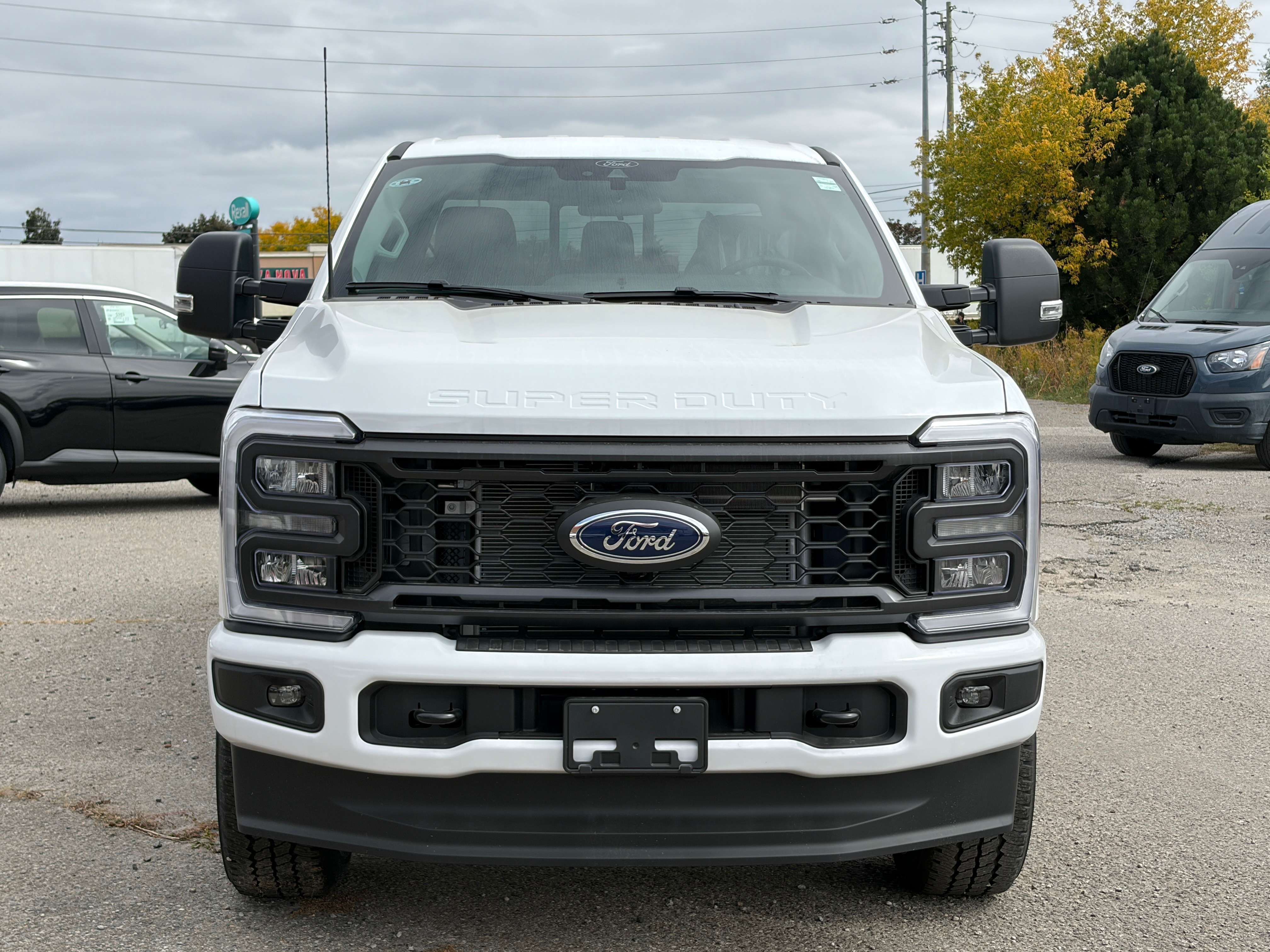 Image 7