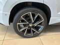 Skoda Karoq 2.0 TSI Sportline 4x4 SOUND|SHZv+h|ACC|RCam Blanc - thumbnail 17