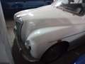 MG MGA MAGNETTE mod. 1956 Weiß - thumbnail 4