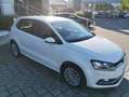 Volkswagen Polo Polo 5p 1.4 tdi 75cv testata nuova Blanc - thumbnail 4