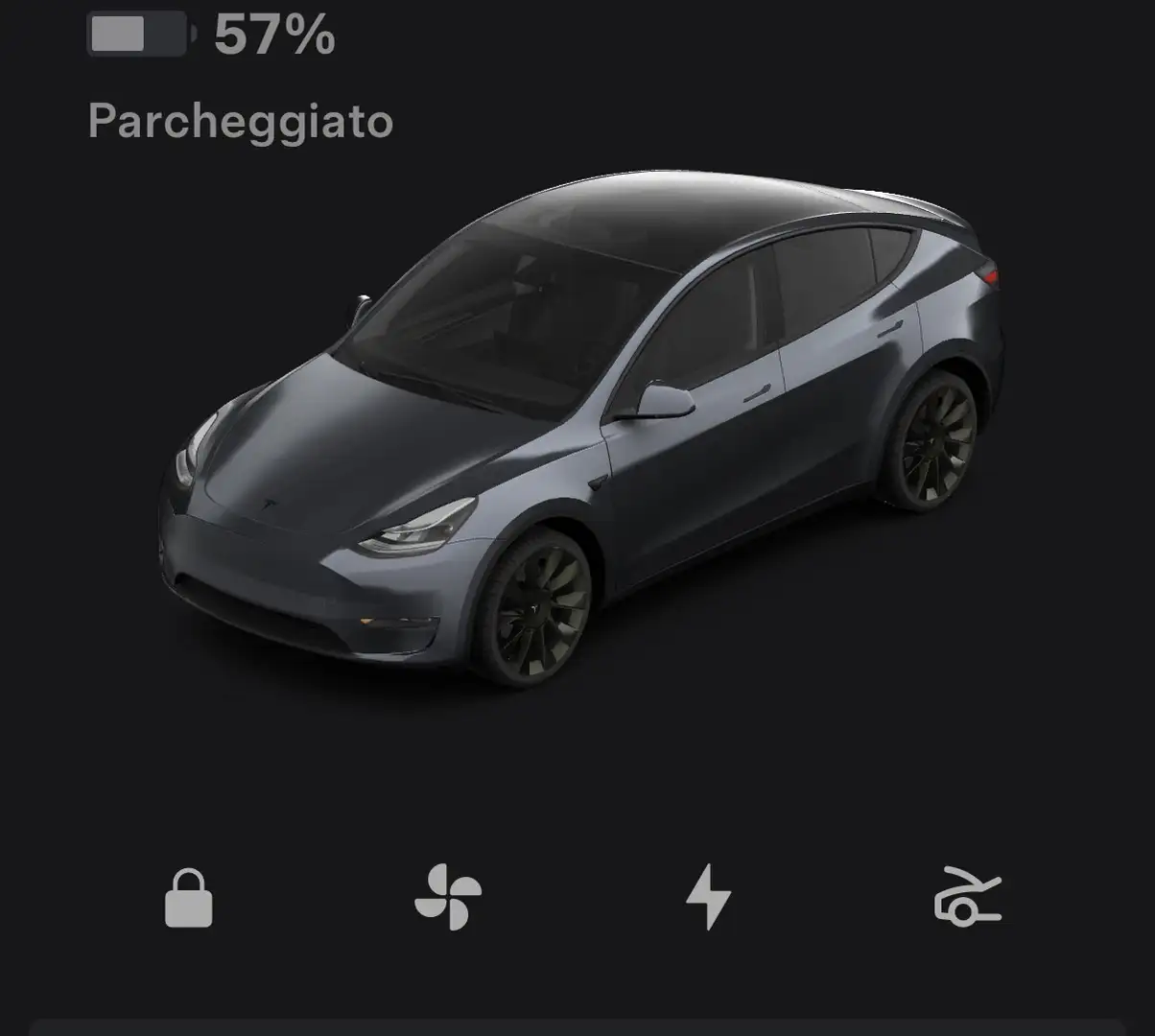 Tesla Model Y Long Range Dual Motor awd Grigio - 1