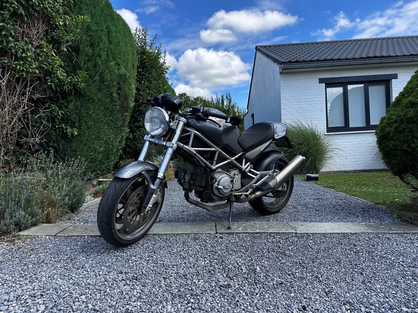 Ducati Monster 620 620.i.e S Gris - 1