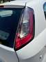 Fiat Punto Evo Punto III 2009 Evo 3p 1.2 MyLife s Bianco - thumbnail 6