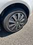 Fiat Punto Evo Punto III 2009 Evo 3p 1.2 MyLife s Bianco - thumbnail 7