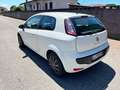 Fiat Punto Evo Punto III 2009 Evo 3p 1.2 MyLife s Bianco - thumbnail 4