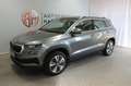 Skoda Karoq Style 1.5 DSG AHK Kamera StHz elek. Koffer Gris - thumbnail 2