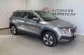 Skoda Karoq Style 1.5 DSG AHK Kamera StHz elek. Koffer Gris - thumbnail 6
