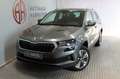 Skoda Karoq Style 1.5 DSG AHK Kamera StHz elek. Koffer Gris - thumbnail 1