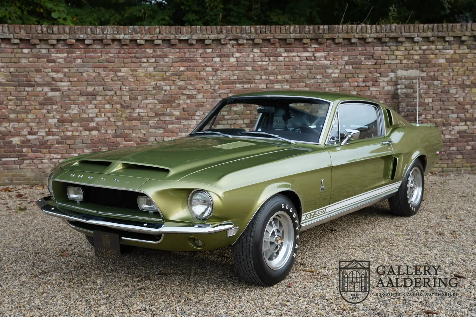 Ford Mustang Shelby GT350 Fastback Owner history known from new Groen - 1