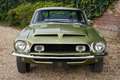 Ford Mustang Shelby GT350 Fastback Owner history known from new Groen - thumbnail 5