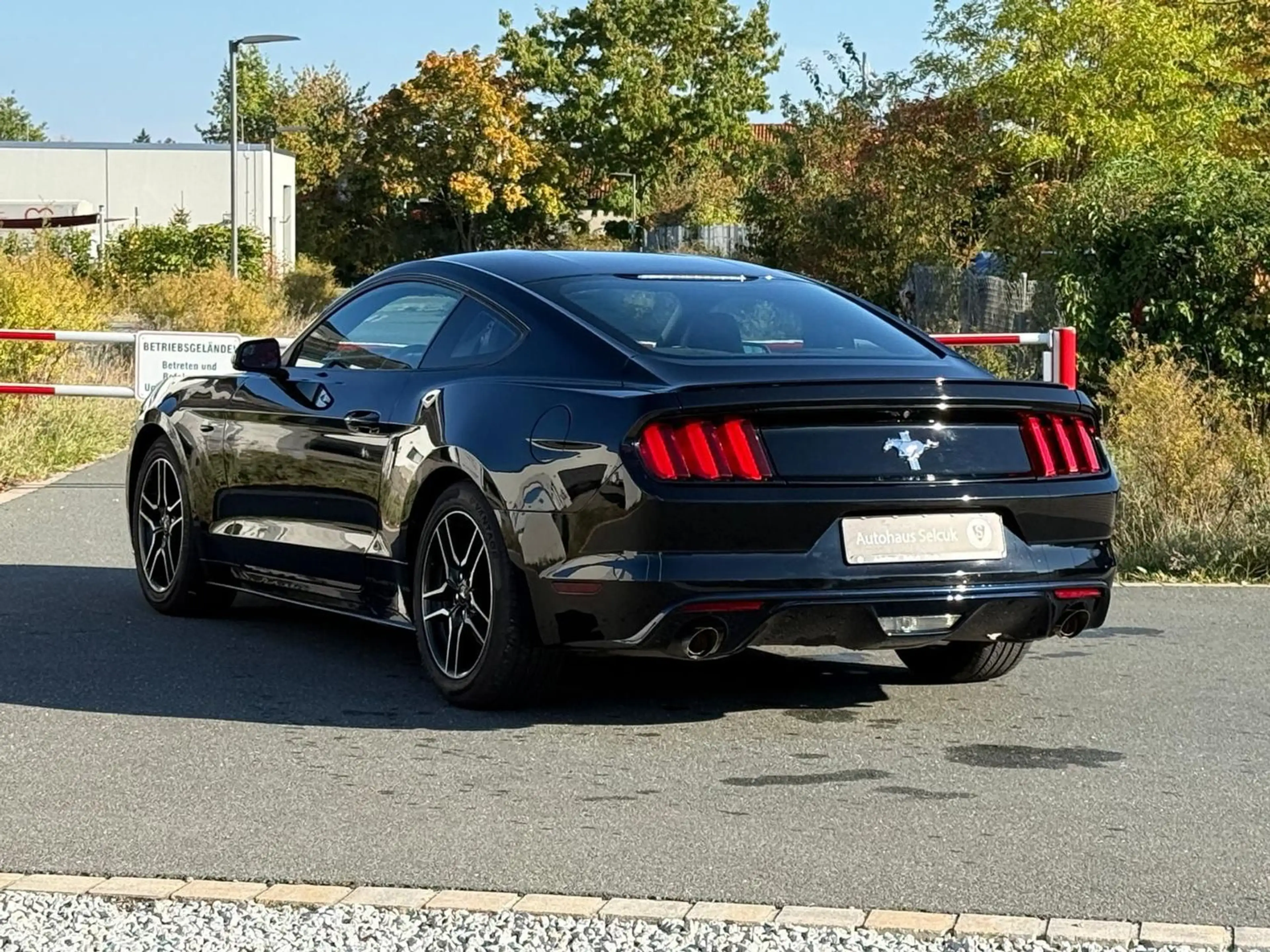 Ford Mustang 3.6 V6 *Navi*LPG*SHZ*Kamera* — photo 9