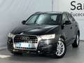 Audi Q3 Q3 2.0 tdi Business 120cv Zwart - thumbnail 2