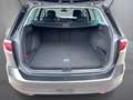 Volkswagen Passat Variant Business TDI 4MOTION DSG Grau - thumbnail 13