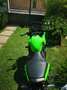 Kawasaki ER - 6 F Verde - thumbnail 4