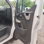 Renault Master L2H2 HKa 3,5t Laderampe hinten klappbar - thumbnail 16