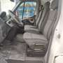 Renault Master L2H2 HKa 3,5t Laderampe hinten klappbar - thumbnail 15