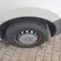 Renault Master L2H2 HKa 3,5t Laderampe hinten klappbar - thumbnail 5