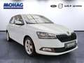 Skoda Fabia Cool Plus *Sitzheizung-Start-Stopp Auto.*   -EU6d- Blanc - thumbnail 2