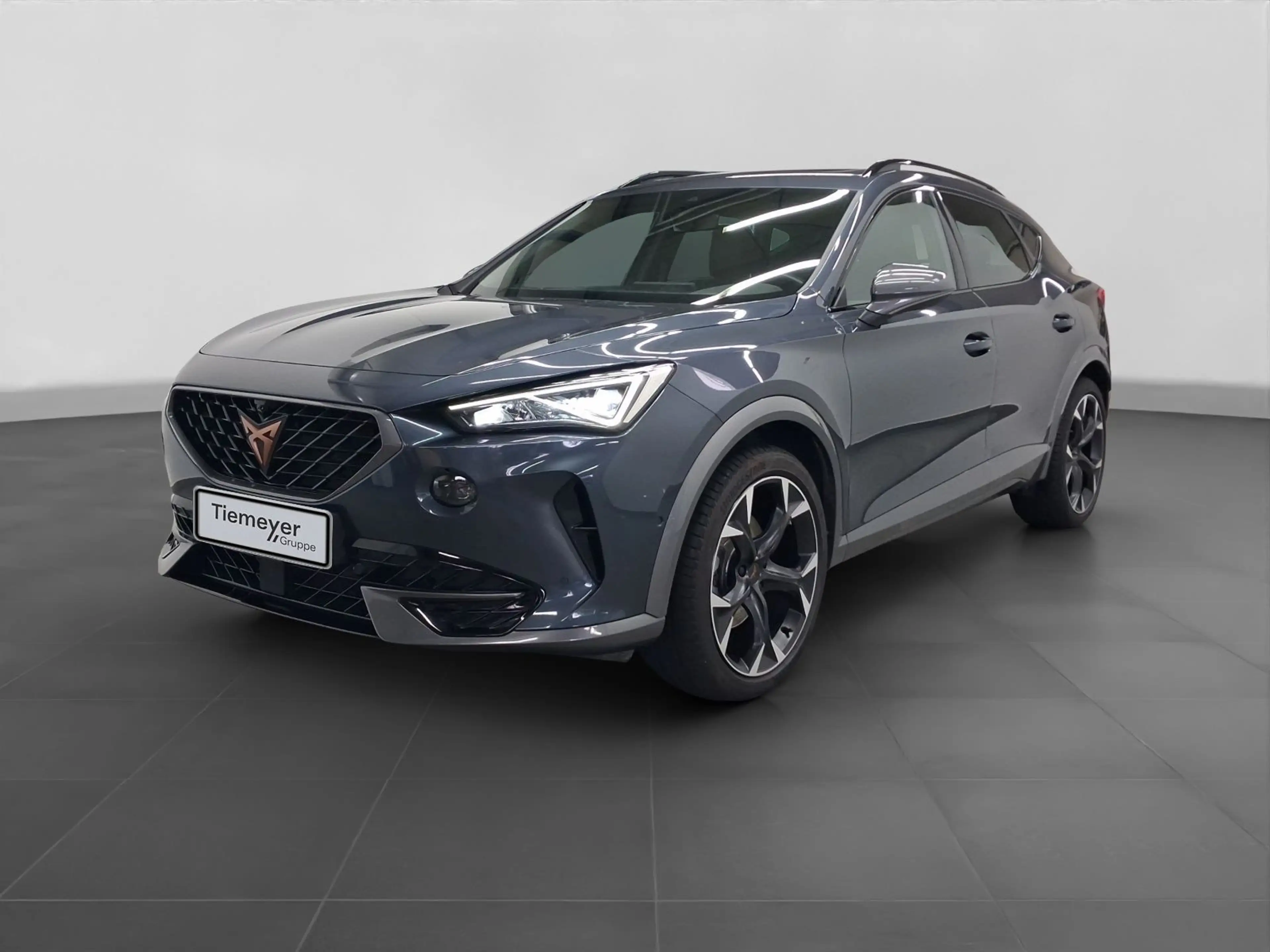 CUPRA Formentor 1.5 TSI DSG LM19 AHK PANO 360° NAVI+ — photo 2